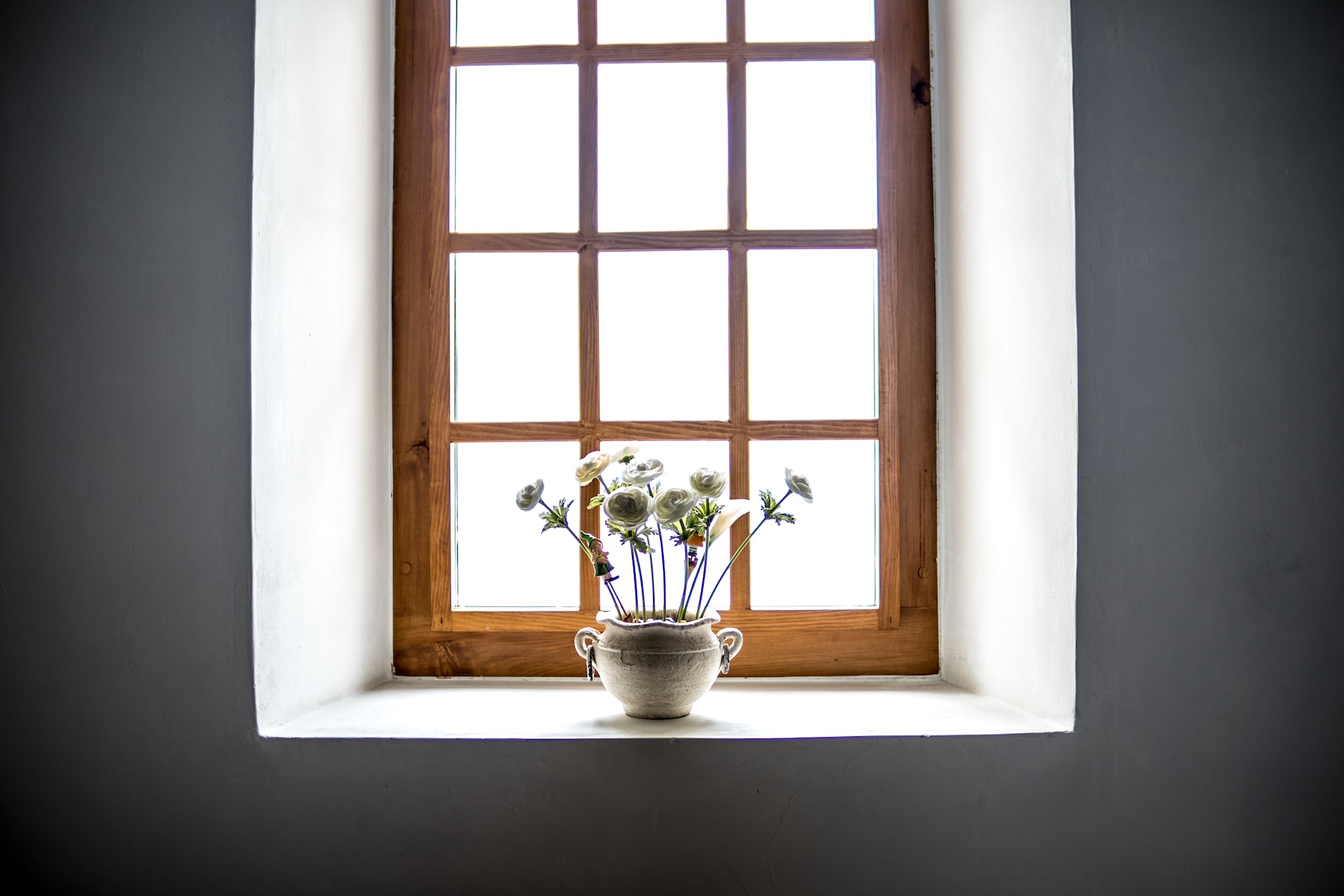 Roses devant fenêtre bois, mur noir